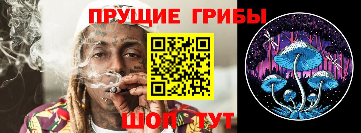 Комсомольск-на-Амуре  наркота  Вход с VPN  Псилоцибиновые грибы Cubensis 